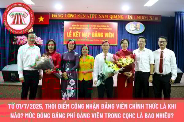 Pháp luật