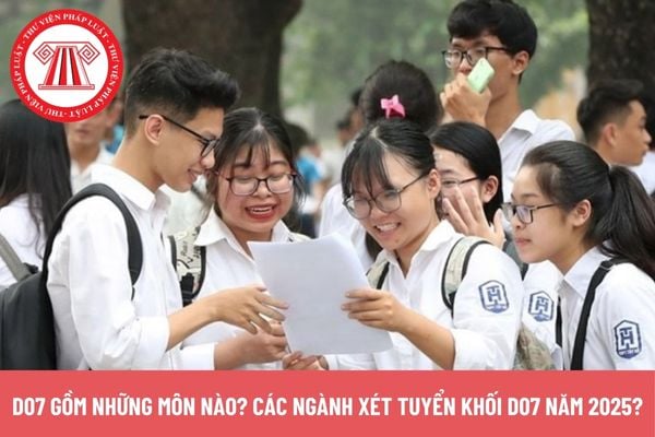 Pháp luật