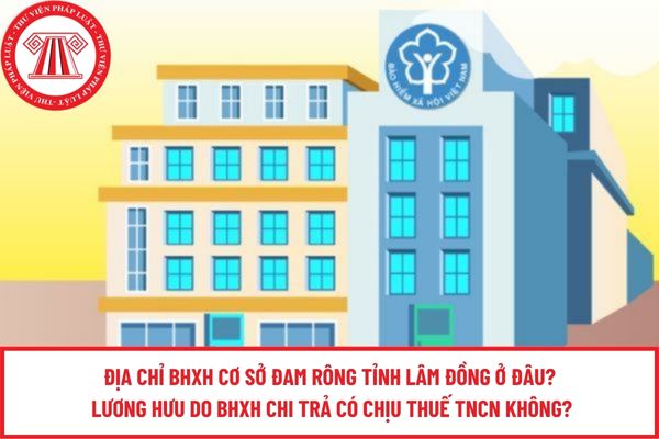 Pháp luật