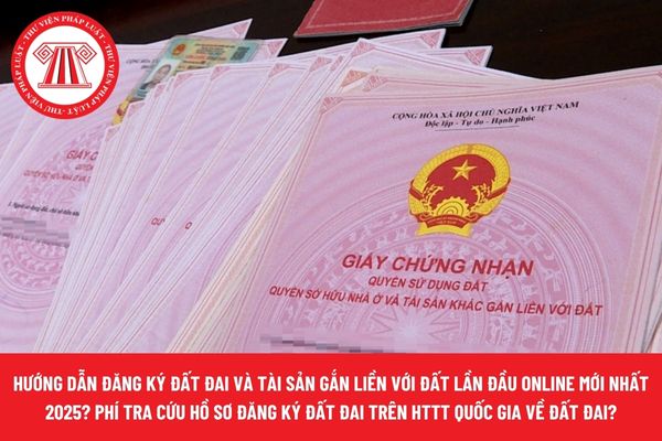 Pháp luật