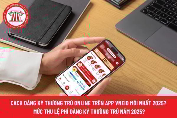 Pháp luật