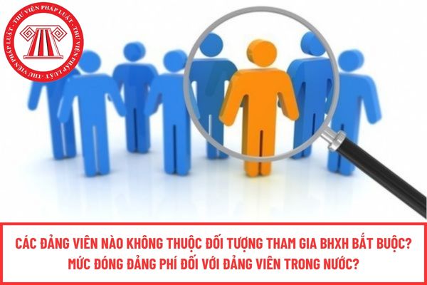 Pháp luật