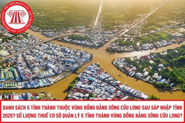 Pháp luật