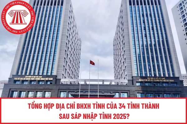 Pháp luật