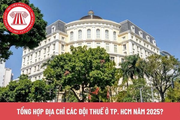 địa chỉ các Đội Thuế ở TP. HCM năm 2025?
