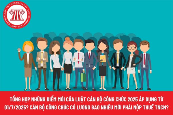 Pháp luật