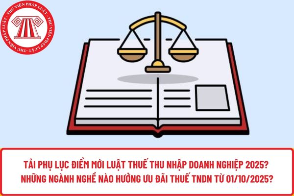 Pháp luật