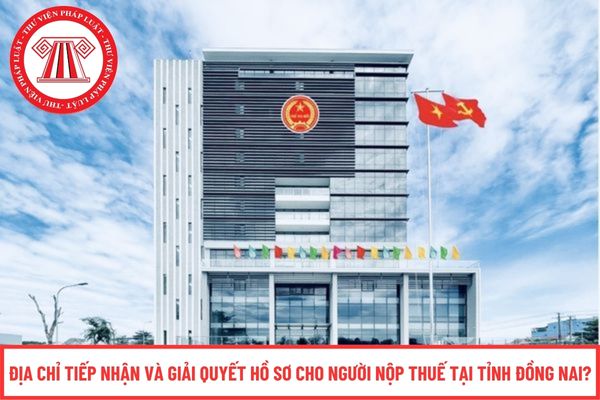 Pháp luật