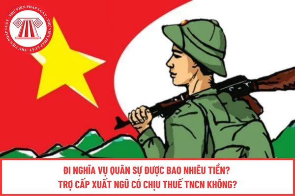 Pháp luật