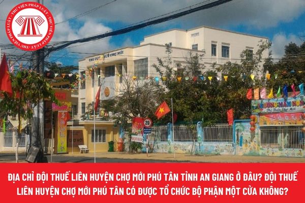 Pháp luật