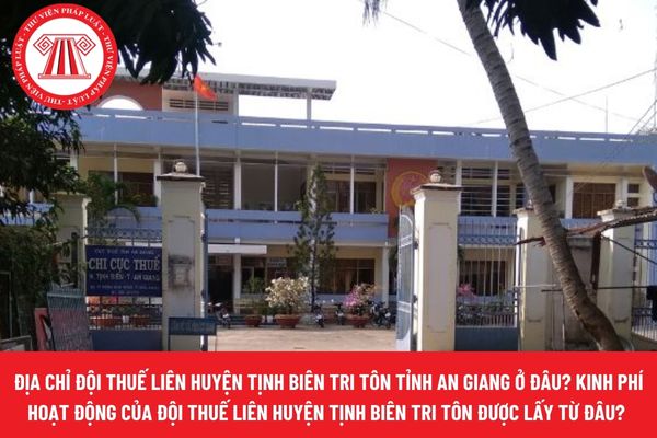 Pháp luật