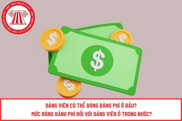 Pháp luật