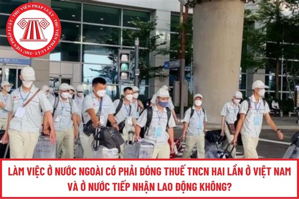 Pháp luật