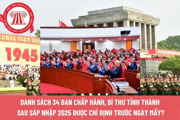 Pháp luật