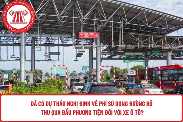 Pháp luật