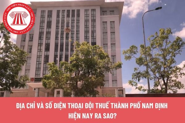 Pháp luật