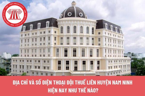 Pháp luật