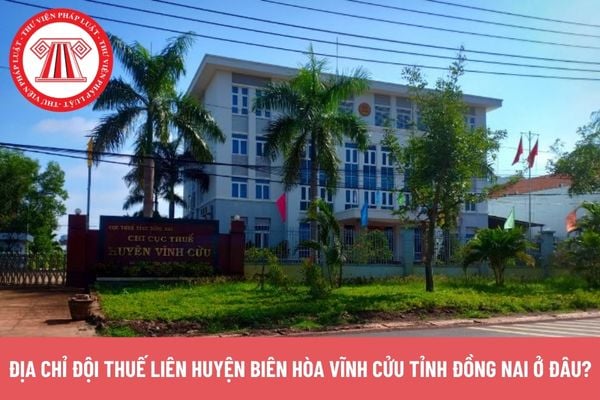 Pháp luật