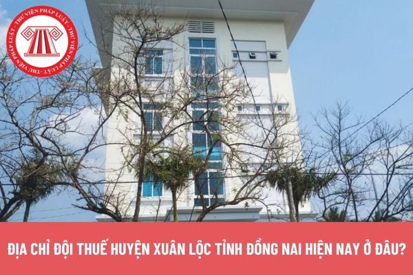 Pháp luật