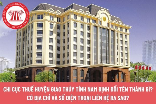 Pháp luật