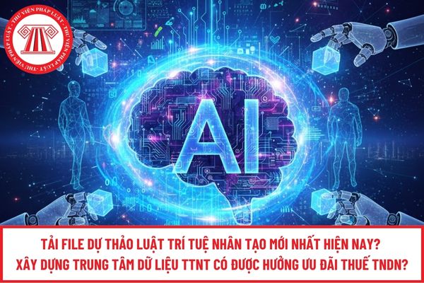 Pháp luật