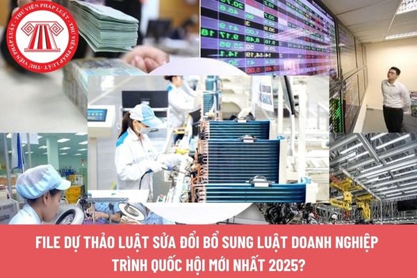 Pháp luật