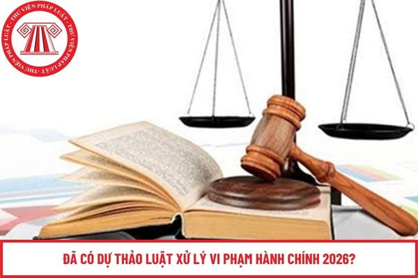 Pháp luật
