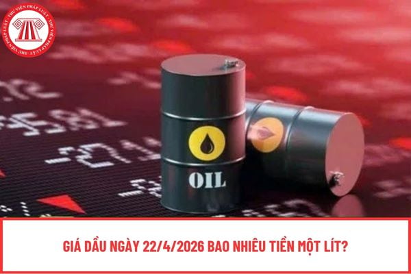 Giá dầu ngày 22/4/2026 bao nhiêu tiền một lít?