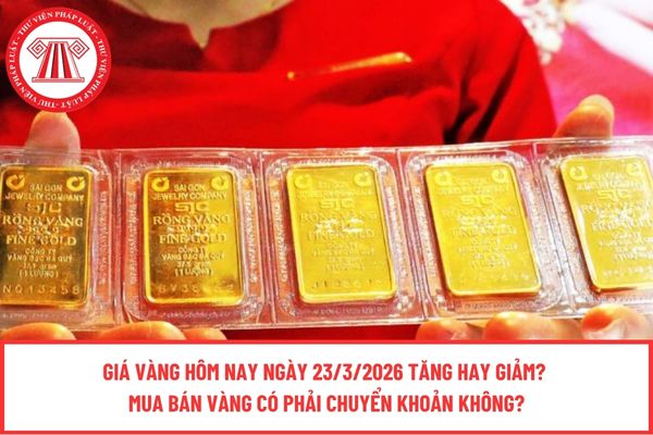 Pháp luật