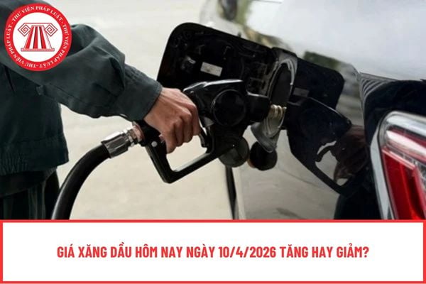 Giá xăng dầu hôm nay ngày 10/4/2026 tăng hay giảm?