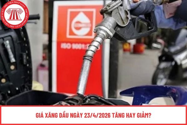 Pháp luật