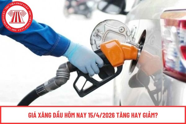 Giá xăng dầu hôm nay 15/4/2026 tăng hay giảm?