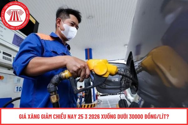 Pháp luật