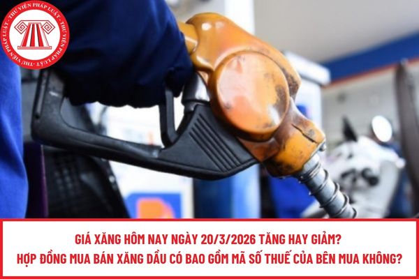Pháp luật