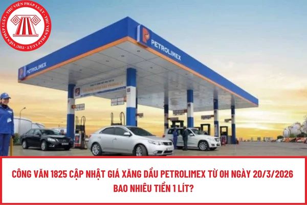 Pháp luật