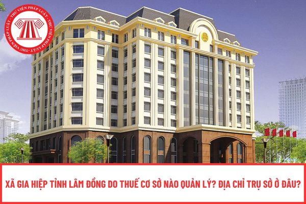 Pháp luật