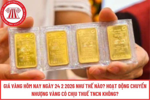 Pháp luật