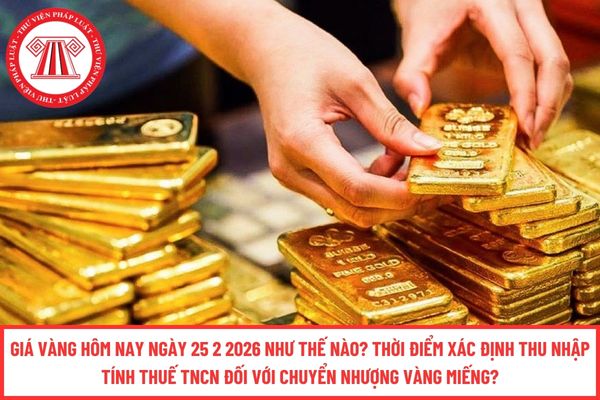 Pháp luật