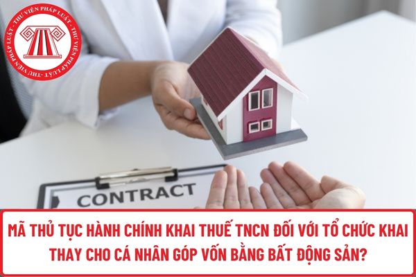 Pháp luật