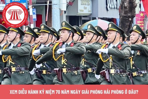 Pháp luật