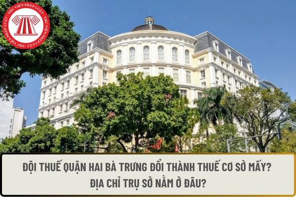 Pháp luật