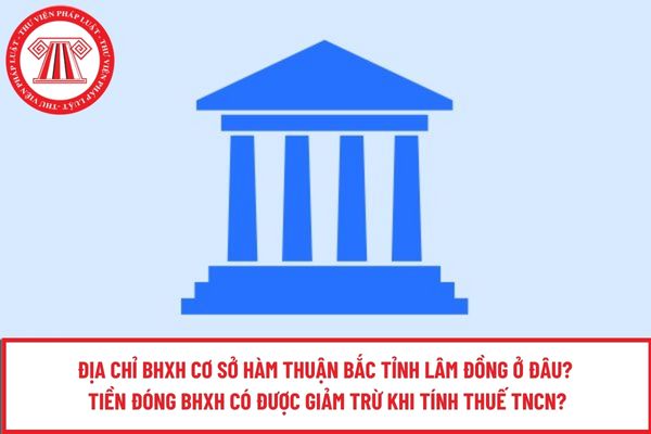 Pháp luật