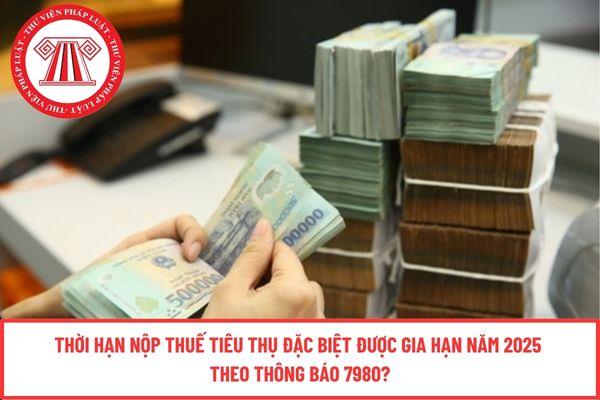 Thời hạn nộp thuế tiêu thụ đặc biệt được gia hạn năm 2025 theo Thông báo 7980?