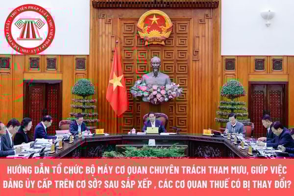 Pháp luật