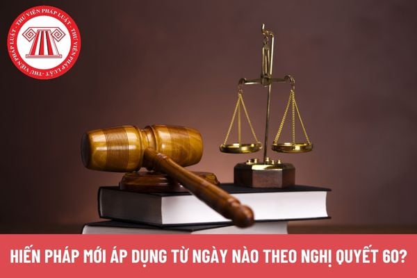 Pháp luật