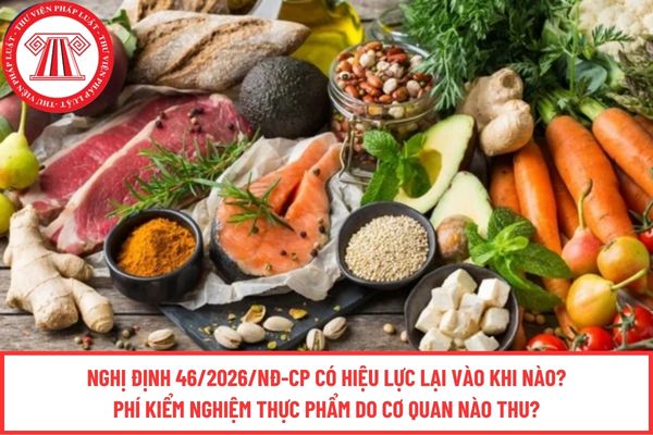 Pháp luật