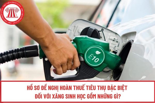 Pháp luật