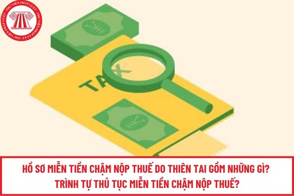 Pháp luật