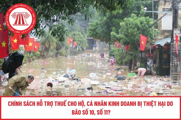 Pháp luật