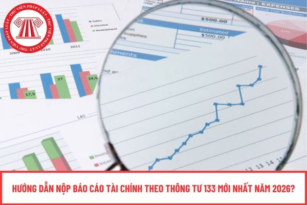 Pháp luật